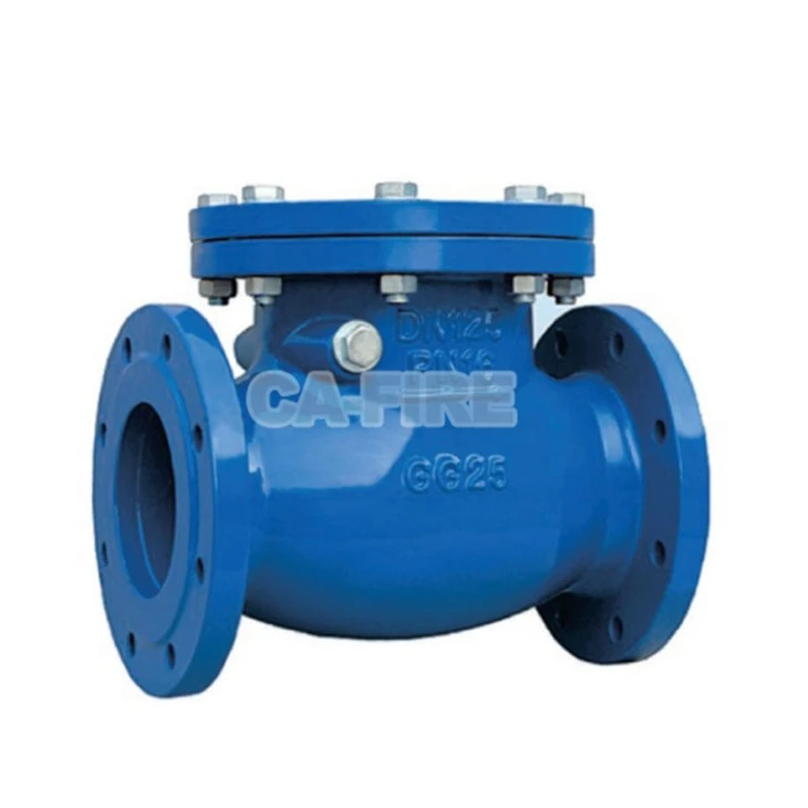 Corrosion Resistant Swing Check Valve For Long Service Life